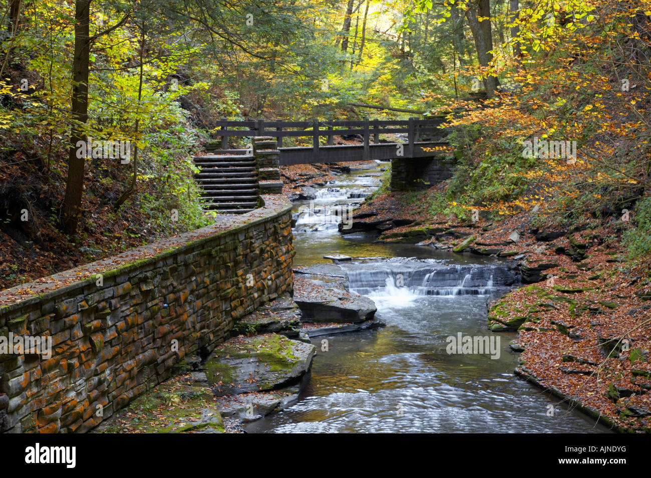 Fillmore Glen State Park en la región de Finger Lakes del Estado de Nueva York Estados Unidos Foto de stock
