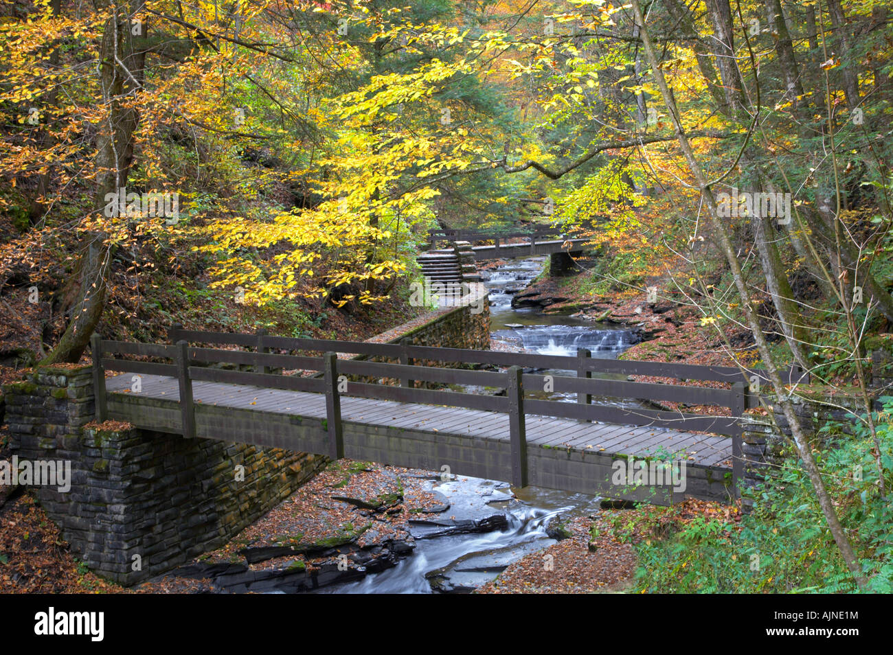 Fillmore Glen State Park en la región de Finger Lakes del Estado de Nueva York Estados Unidos Foto de stock