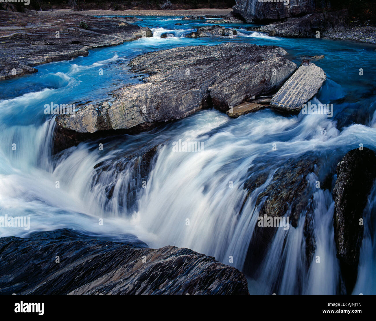 Fluss mit kleinem Wasserfall im parque nacional Jasper Creek con una pequeña cascada en el Parque Nacional Jasper Alberta Foto de stock