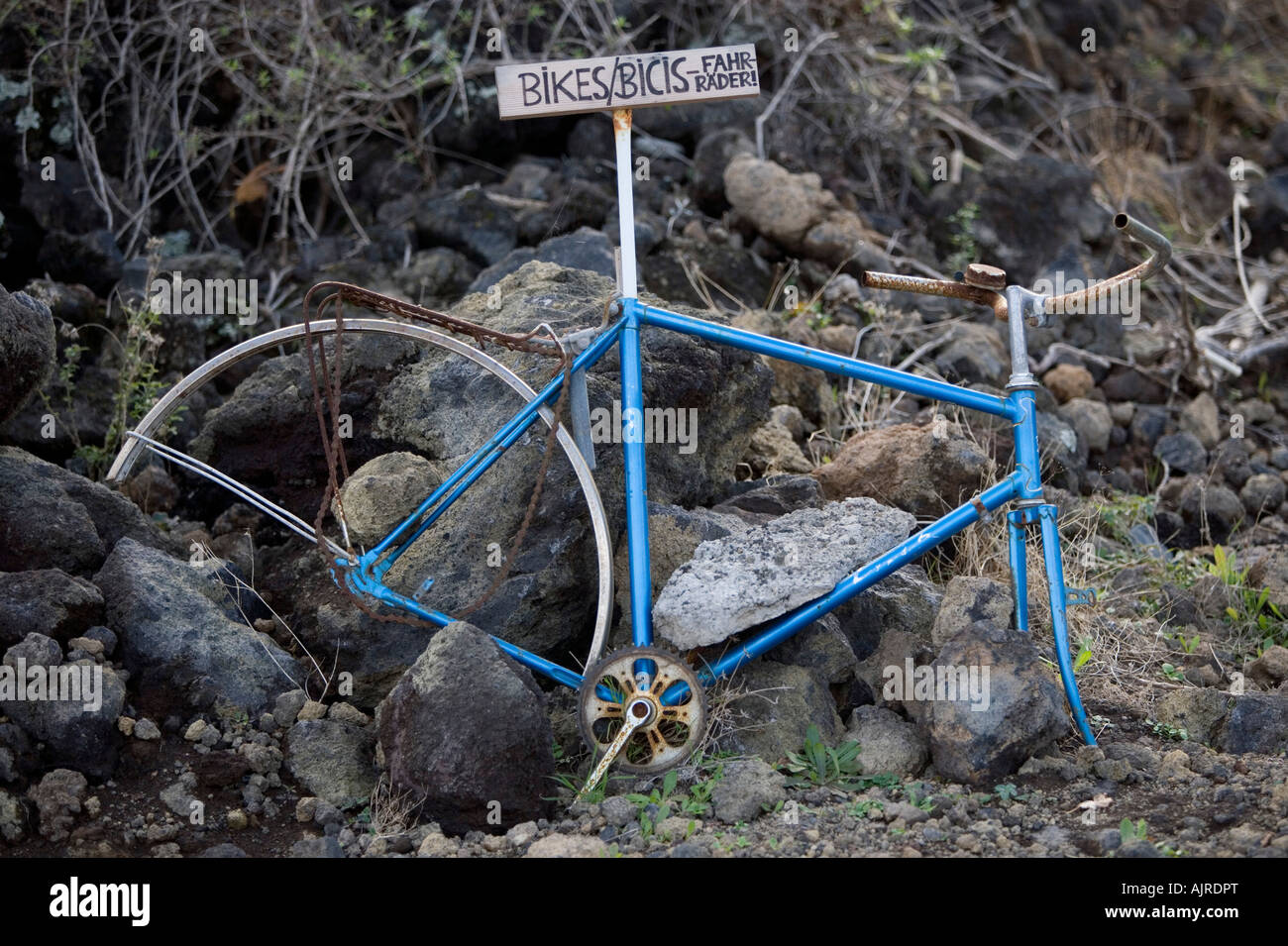 España, Islas Canarias, El Hierro, Tigaday, Rota y oxidada bicicleta usó  como un signo de la información para un alquiler una tienda de bicicletas  Fotografía de stock - Alamy