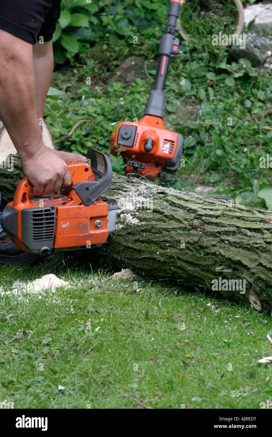 El hombre cortando un árbol caído extremidad con una motosierra. Daños  causados por el viento y las tormentas en un jardín de Nottingham. Ramas  rotas desde un crack willow, Salix fragilis Fotografía