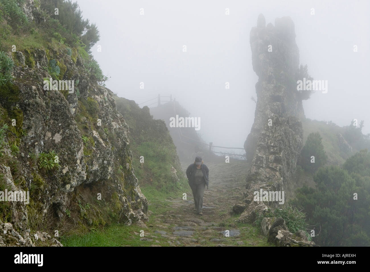 El Hierro, Islas Canarias, Hiking Trail Camino la Jimana Fotografía de  stock - Alamy