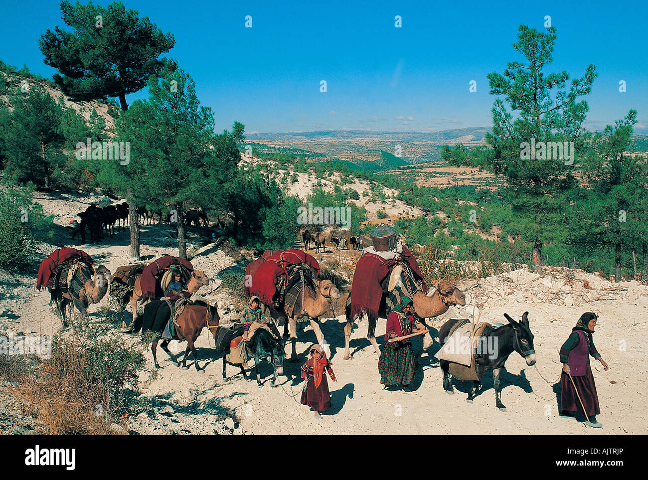 Tribu nómada Karakecili caravana en las Montañas Tauro, C Anatolia, Turquía. Foto de stock