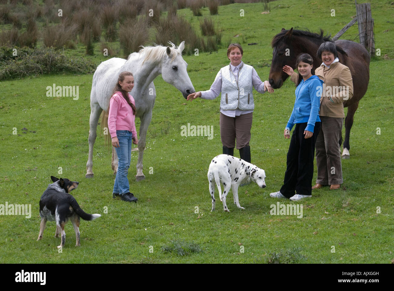 Una familia y algunos perros y caballos disfrutando de una visita al país Foto de stock