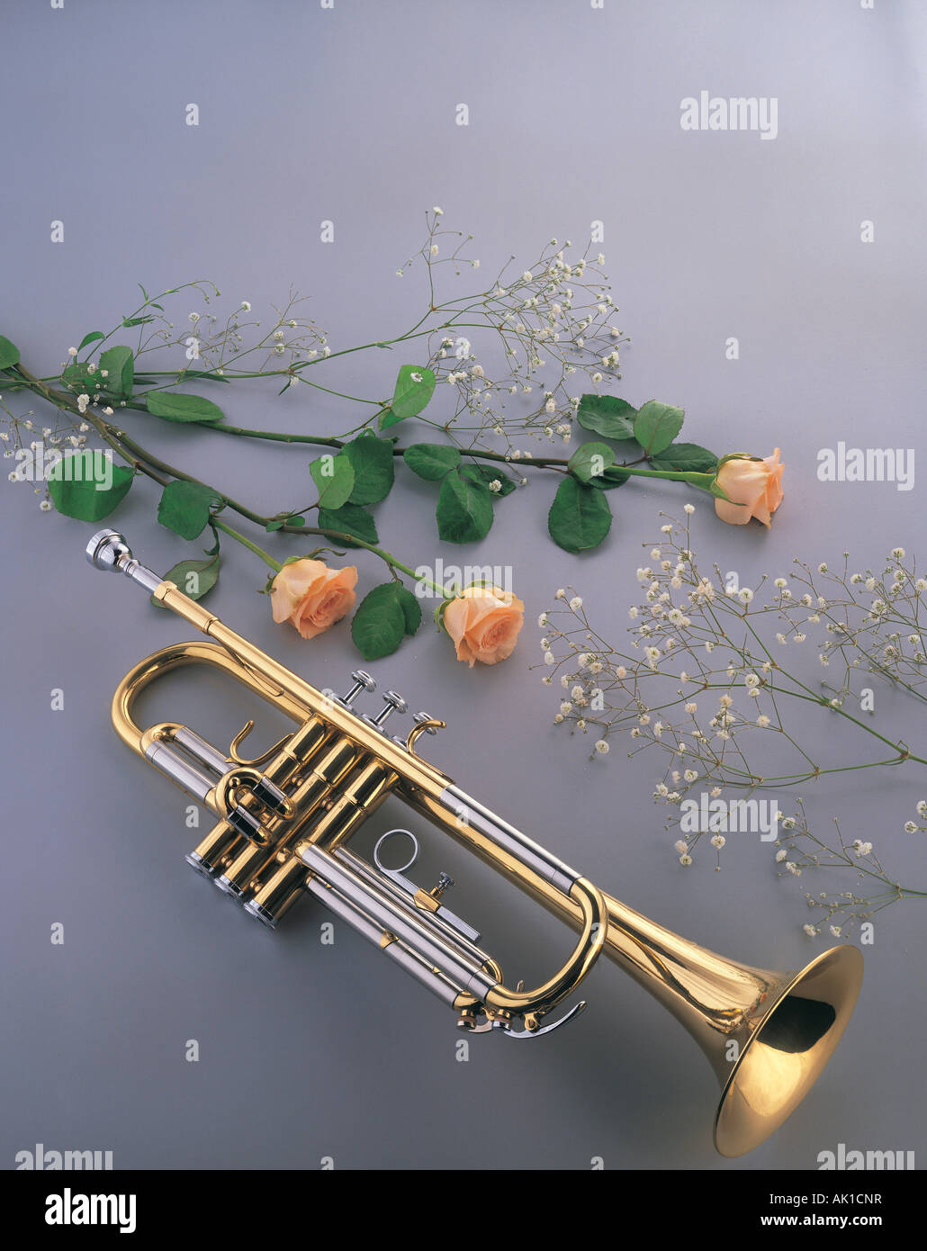 Still life, instrumento musical, Trompeta, Foto de stock