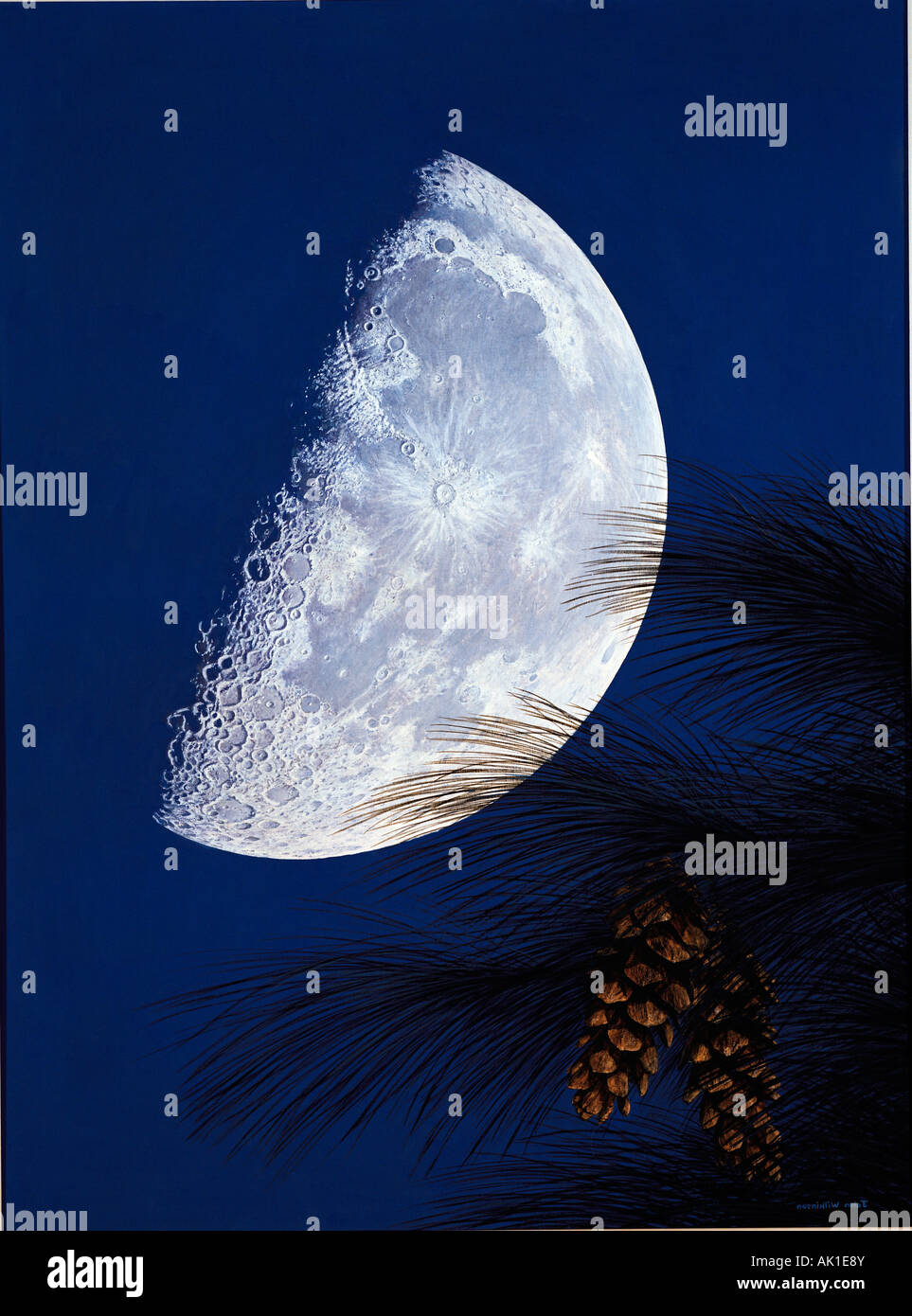 Ilustración de media luna con conos de pino. Foto de stock