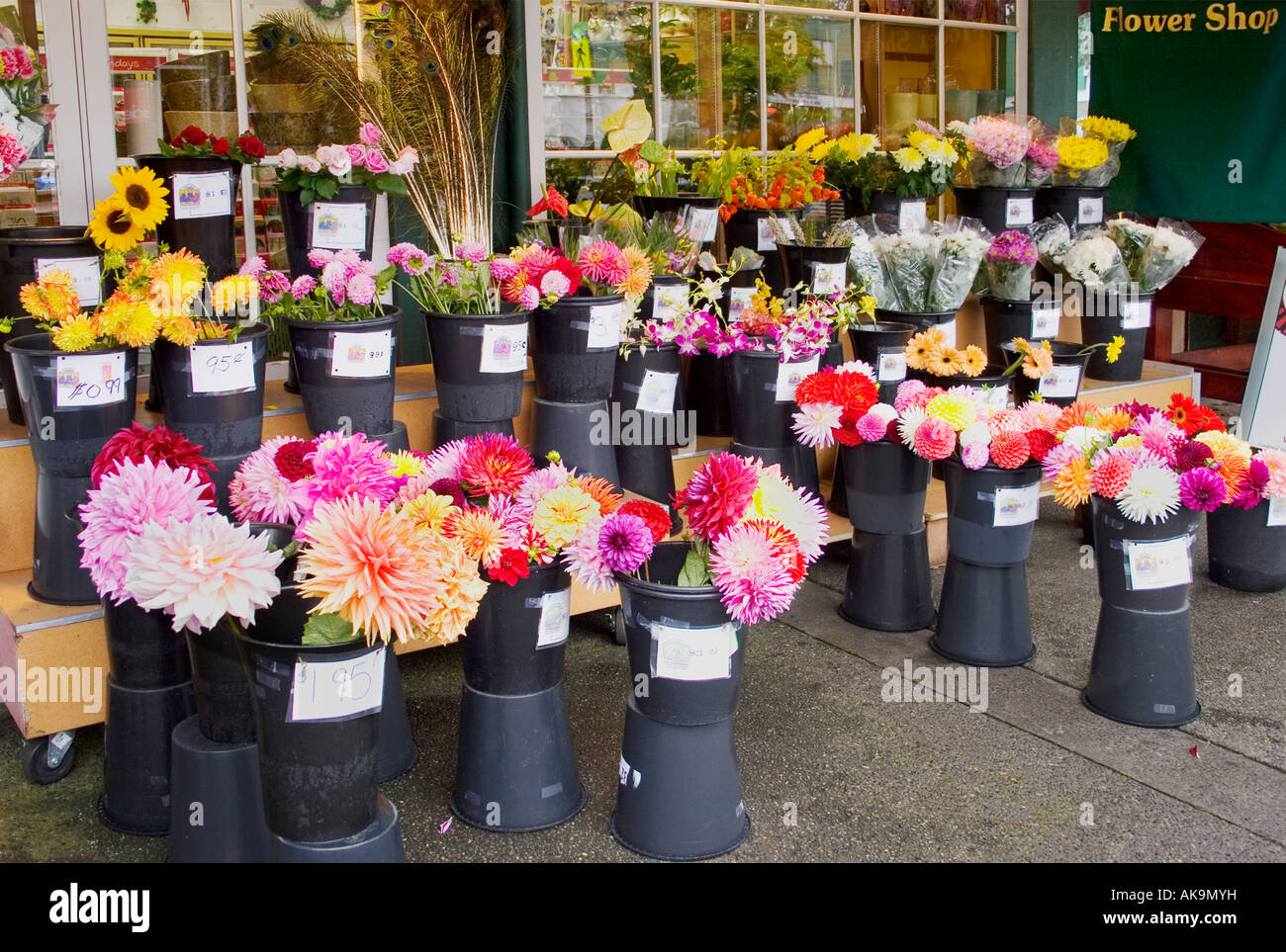 Dalias a la venta fuera de una tienda de flores en el barrio de Oak Bay