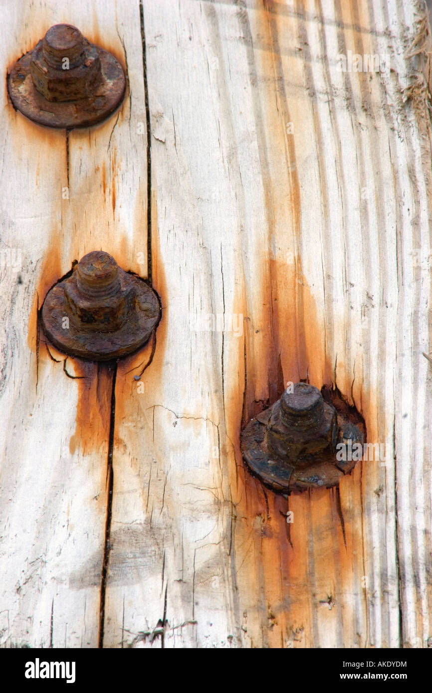 Tornillos oxidados en un tablón de madera Foto de stock