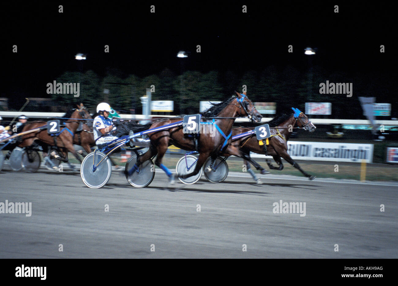 Racecourse, Cesena, Emilia Romagna, Italia Foto de stock