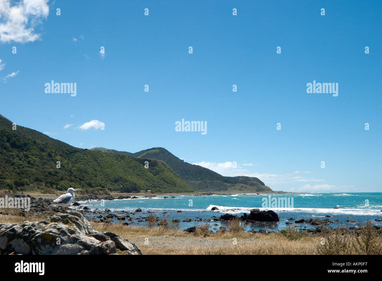 Costa en SH1 al norte de Kaikoura, Isla del Sur, Nueva Zelanda Foto de stock