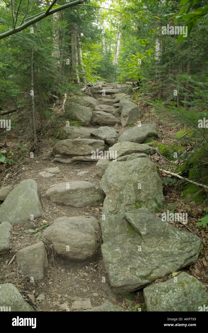 White Mountain National Forest de New Hampshire, Estados Unidos Valley forma escalera de piedra Foto de stock