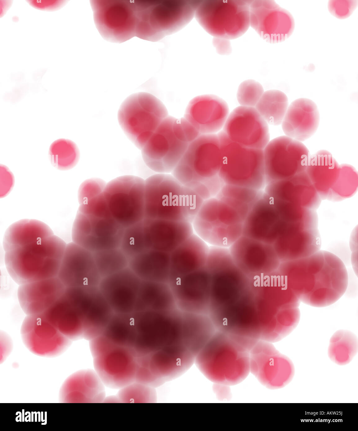 Retroiluminación brillantes rojos sobre fondo blanco bajo el microscopio. Foto de stock