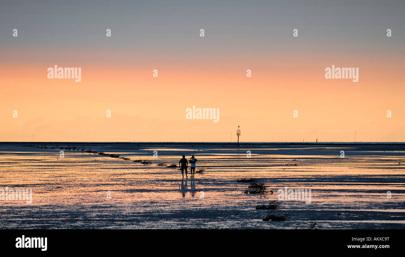 En Wadloper cerca del Mar de Wadden Cuxhaven-Duhnen Foto de stock