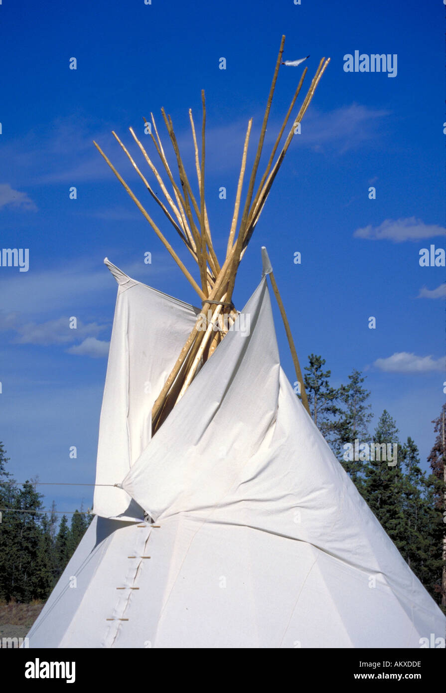 Un tepee indio americano con soportes de madera expuesta y se unió en la parte superior. Foto de stock