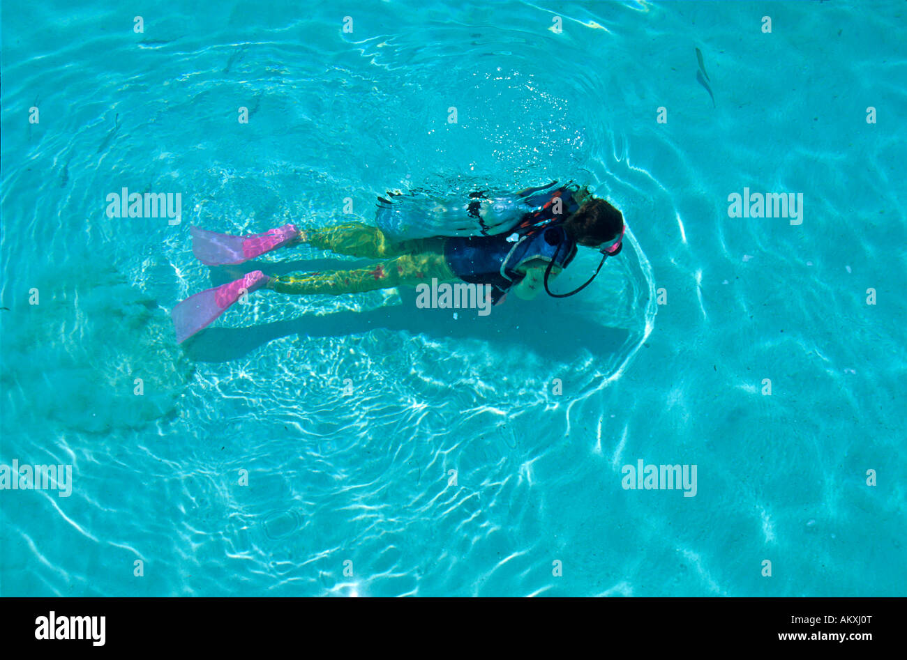 Un buzo en aguas poco profundas, Maldivas. Foto de stock
