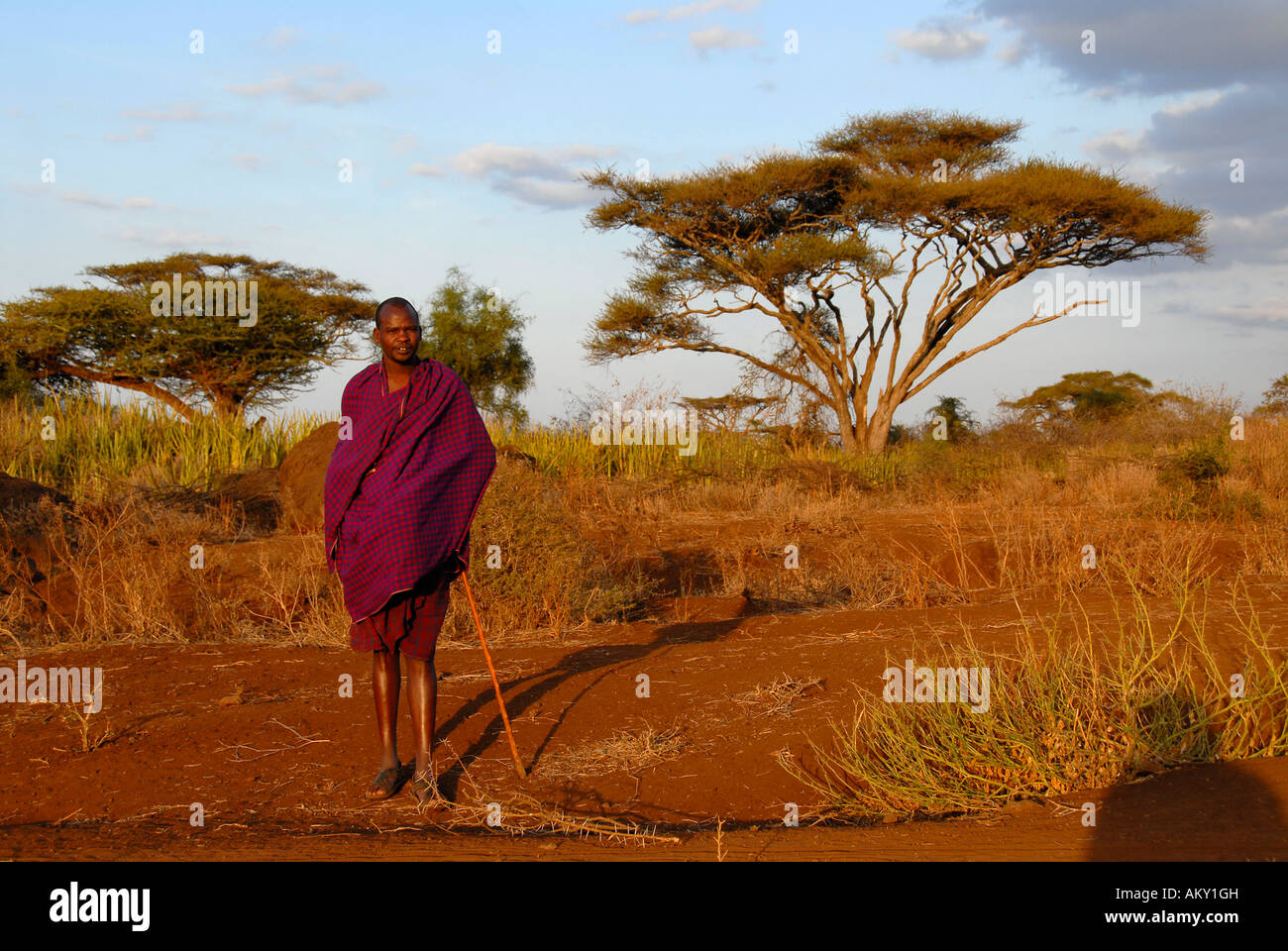 Masai hombre vestido de un cabo se encuentra en la sabana Parque Nacional Amboseli Kenia Foto de stock