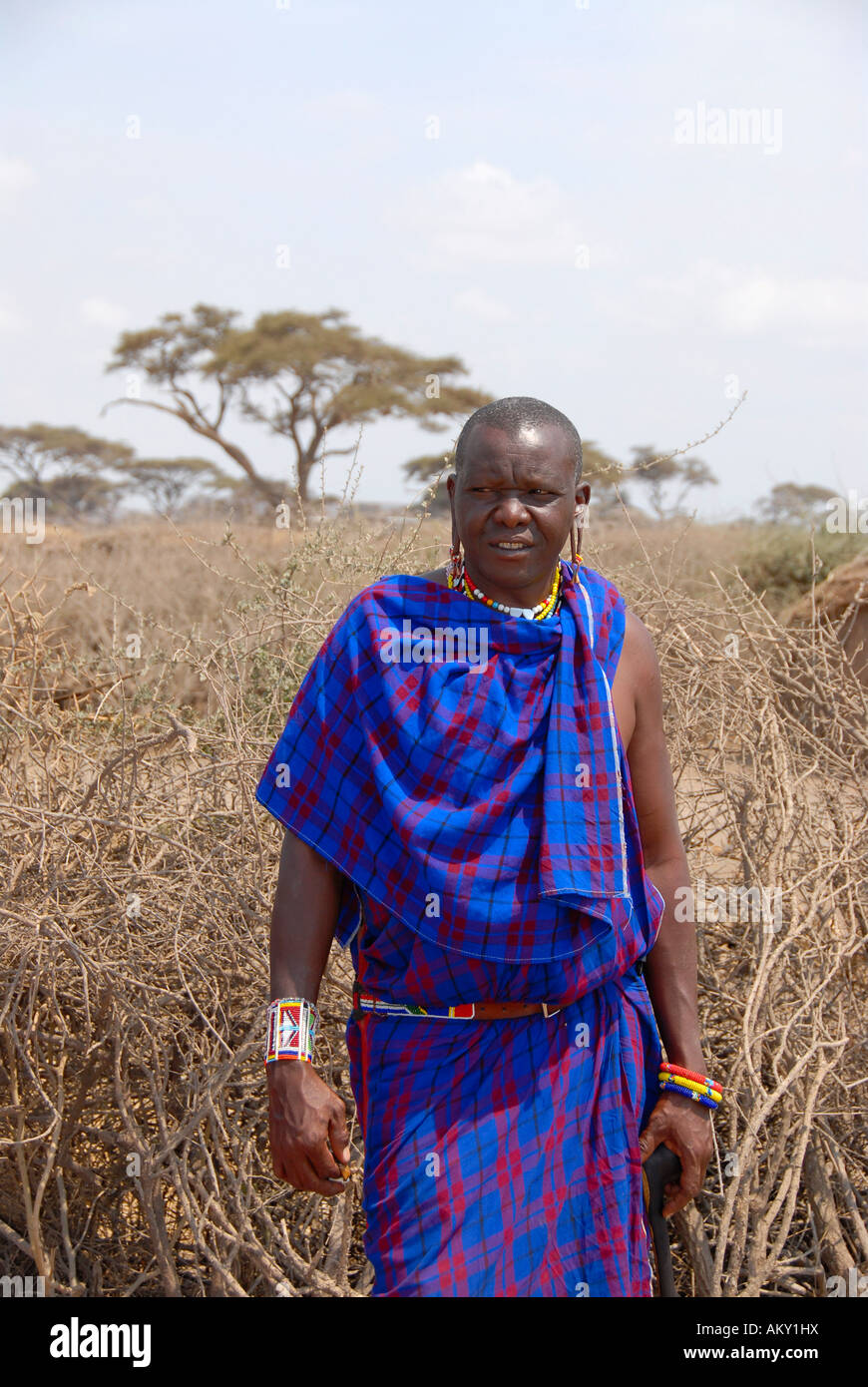 Masai hombre vestido de azul que se encuentra en el cabo kraal Parque Nacional Amboseli Kenia Foto de stock