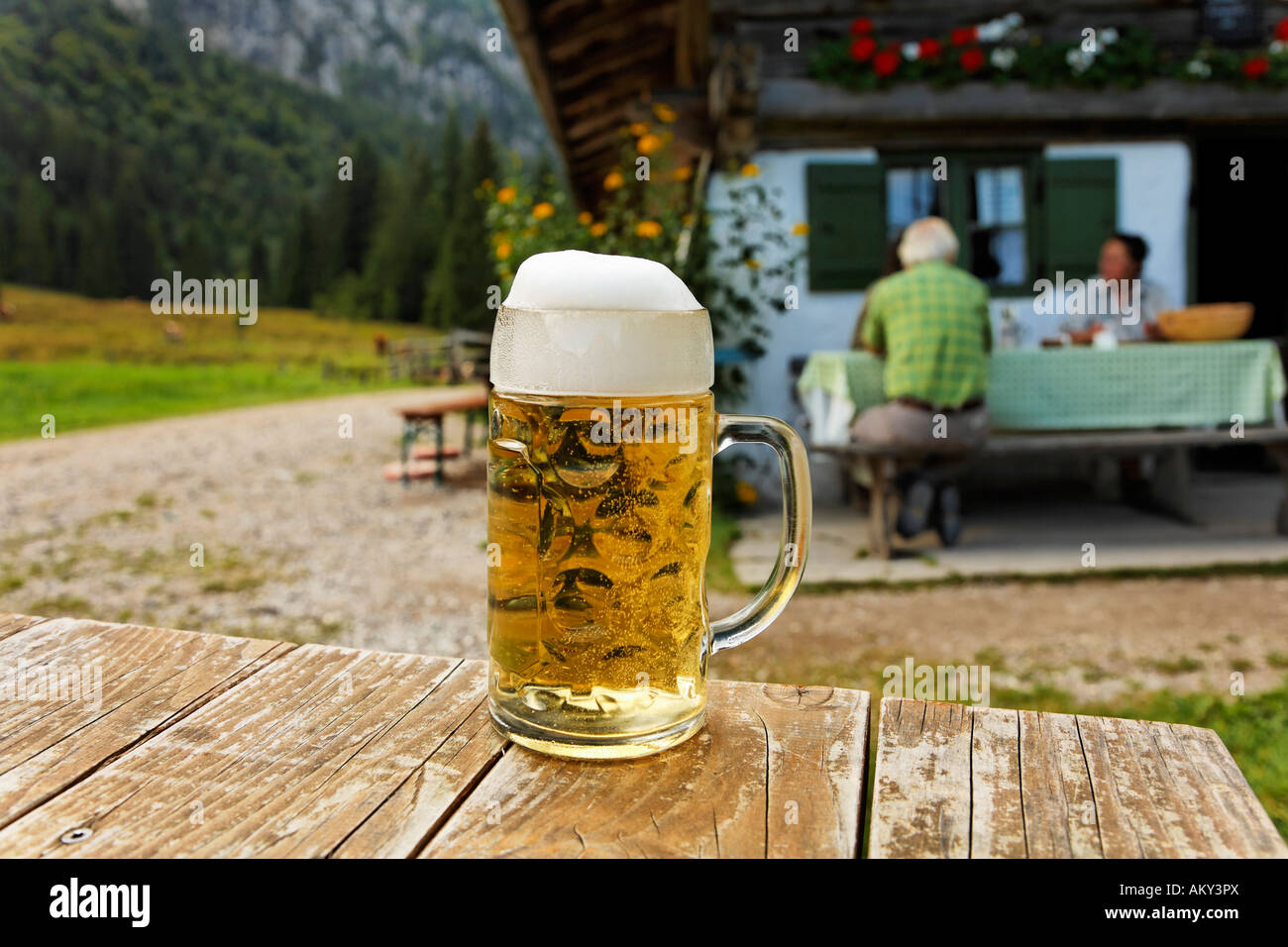 Cerveza, Laengental-Alm, Alta Baviera, Alemania Foto de stock