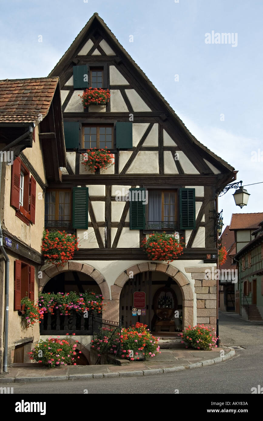 Revestido de madera antiguas casas en Dambach Alsacia con coloridos cuadros  de flores y cielo azul Fotografía de stock - Alamy
