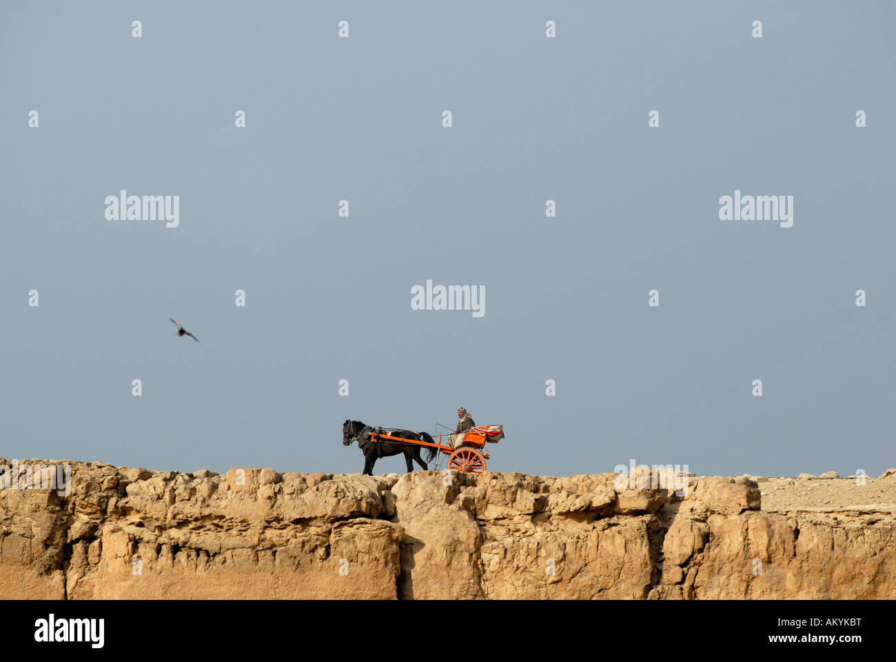 Coche de caballos en el borde de la cantera en las pirámides de Gizeh, El Cairo, Egyt Foto de stock