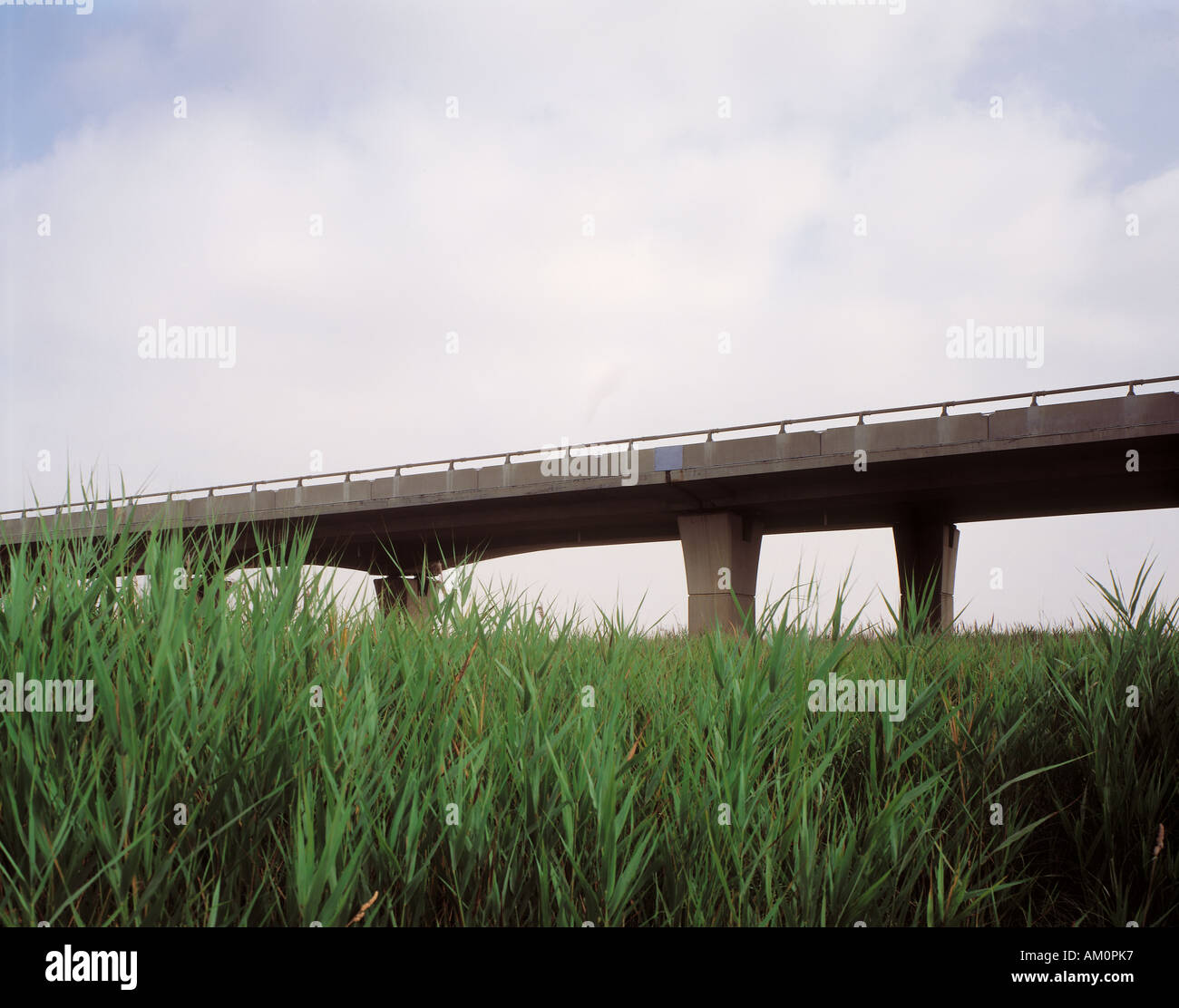 Viaducto de una autopista Foto de stock