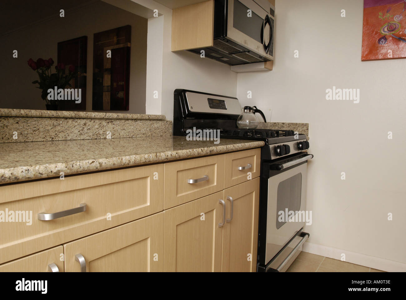 Corredor de cocina cocina encimeras cocina vitrocerámica horno microondas  hervir ase grill cocer cocer fry lave arriba Fotografía de stock - Alamy