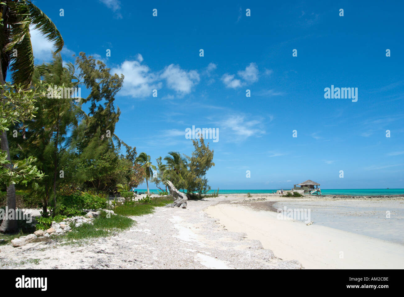 Playa por Small Hope Bay Lodge, Fresh Creek, Andros, Bahamas, El Caribe Foto de stock