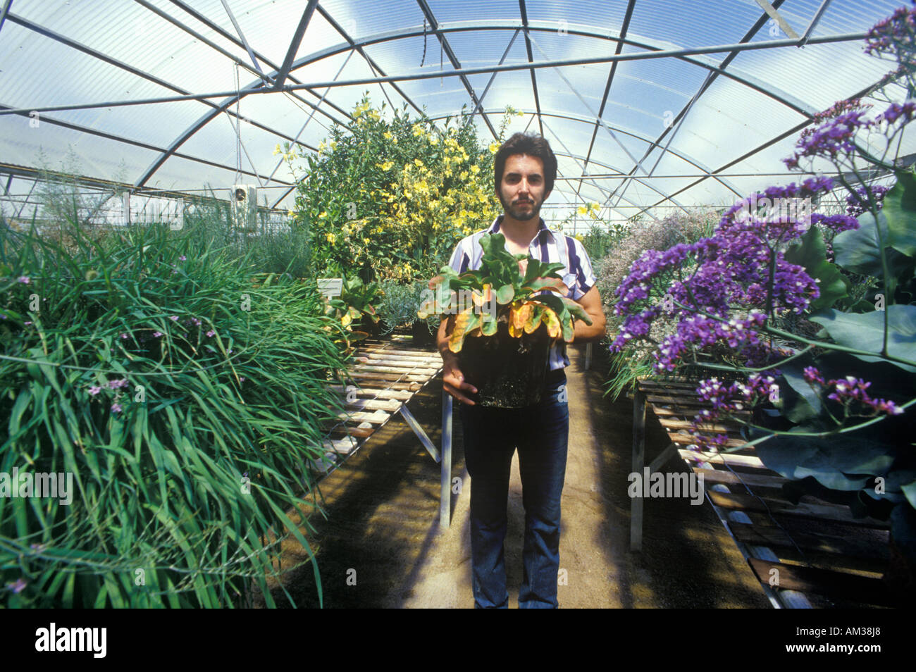 Trabajador en la Universidad de Arizona Environmental Research Laboratory en Tucson AZ Foto de stock