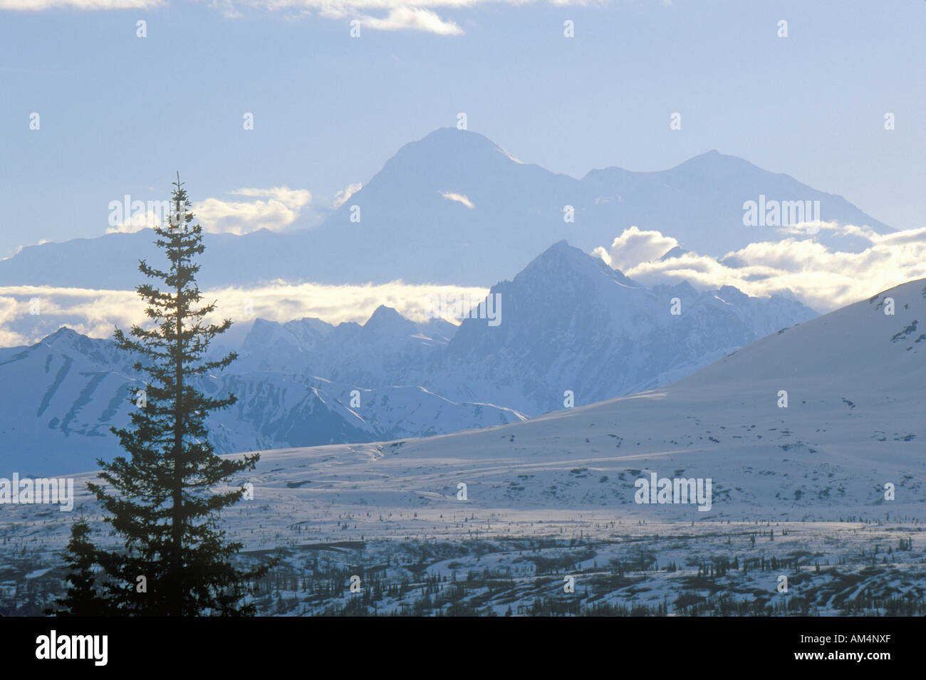 Vista del Monte McKinley y el monte Denali desde George Park la autopista Ruta 3 Alaska Foto de stock