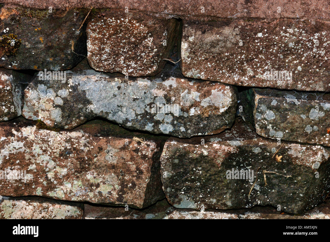 Primer plano de un muro de piedra,mostrando los líquenes creciendo sobre las superficies con textura. Foto de stock
