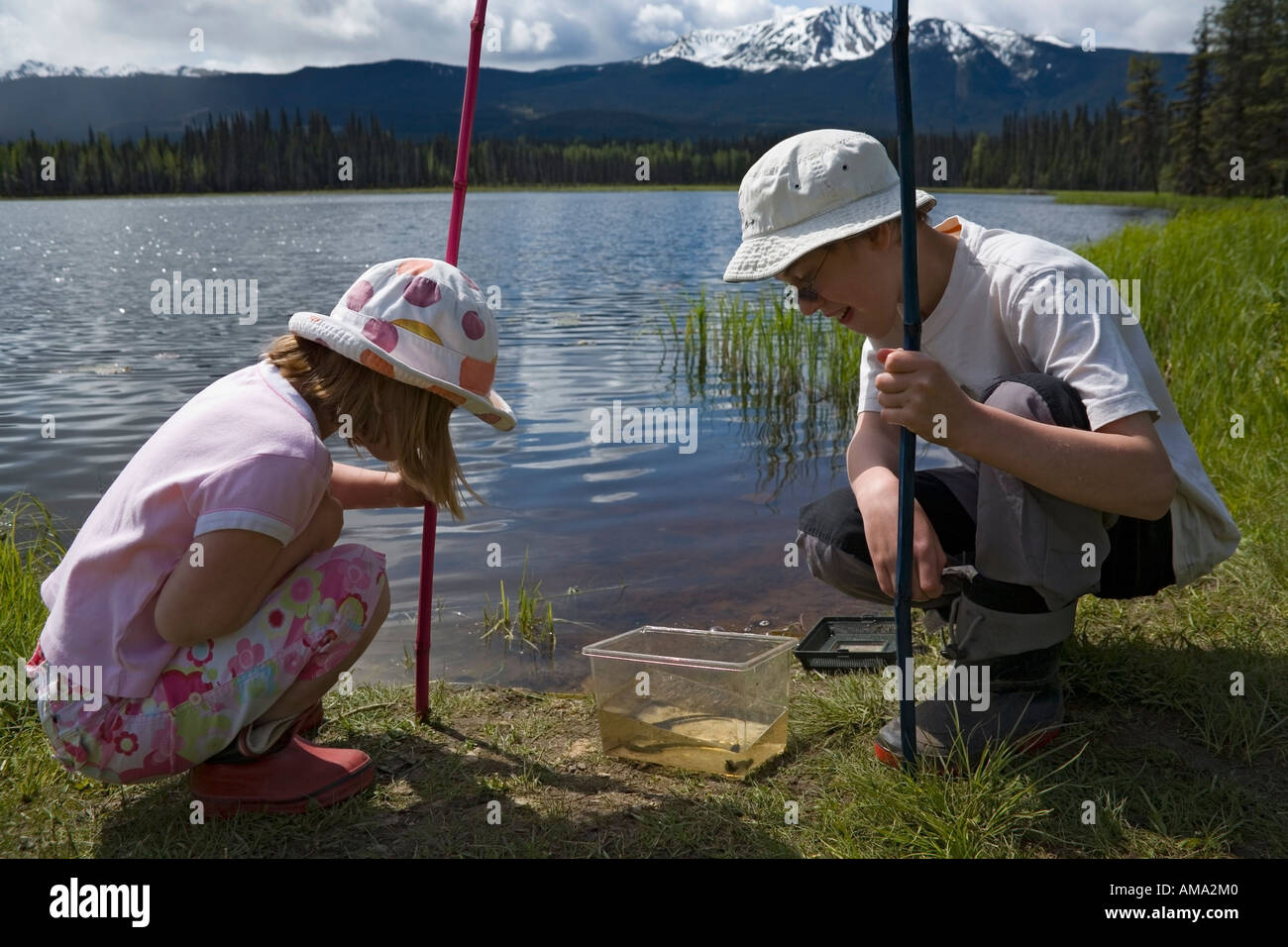 Los niños atrapar la vida acuática en el lago Lago Taltzen A.C. Foto de stock