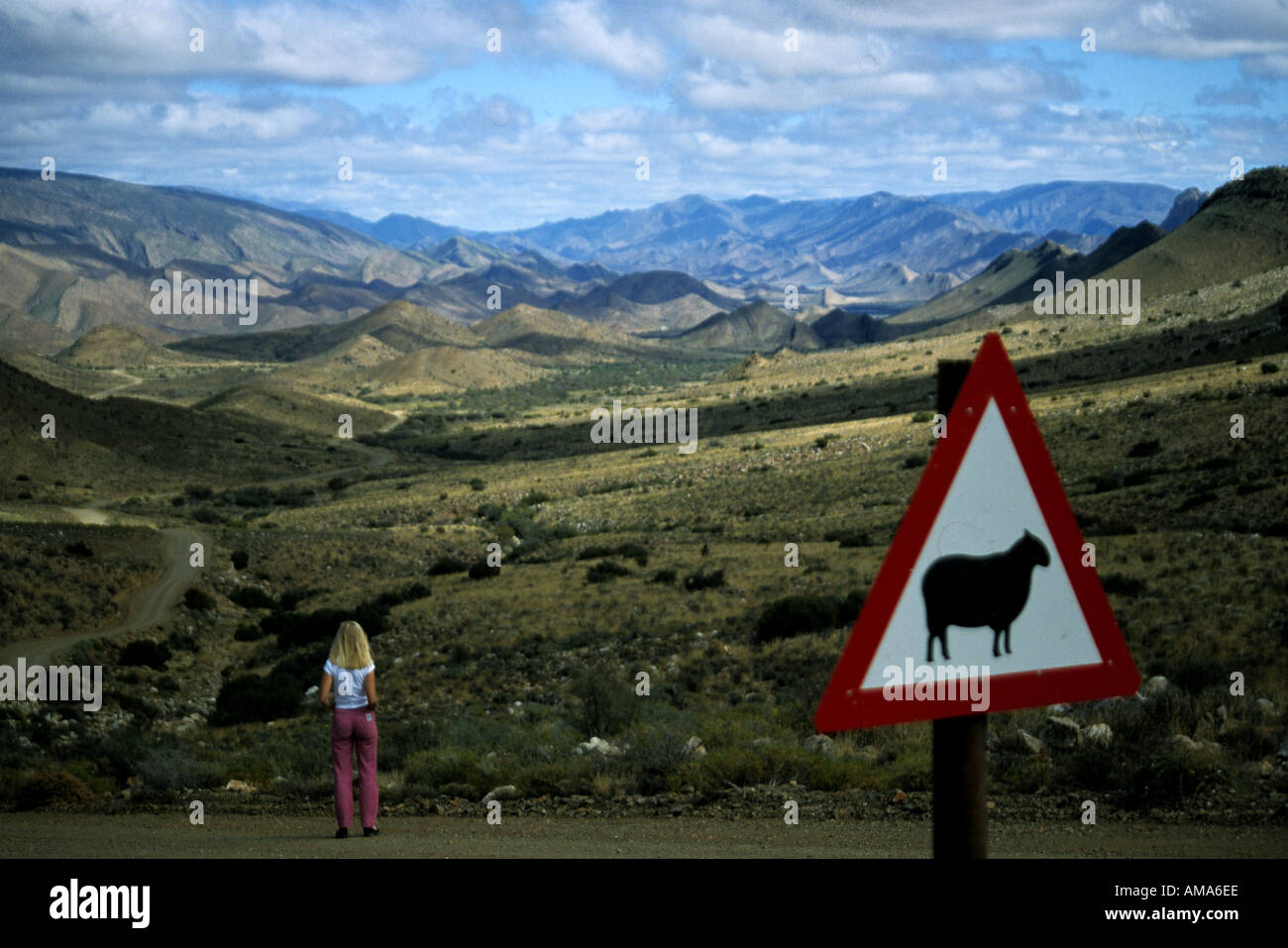Signo de oveja desierto Karoo Sudáfrica Foto de stock