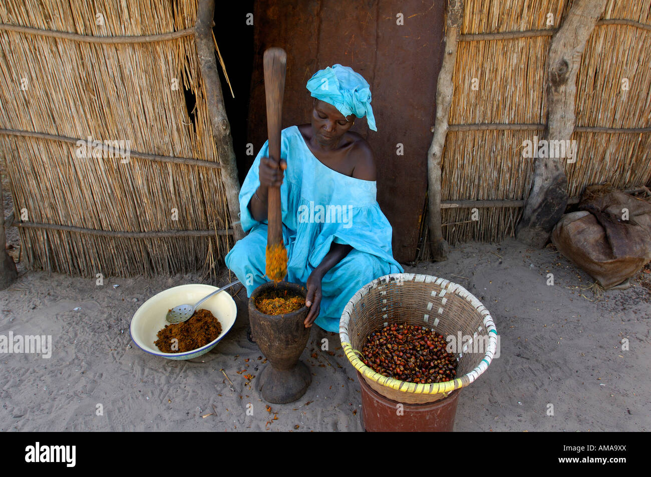 Senegal, Delta del río Saloum, Sipo village, mujer aplastamiento cabbage palm tuercas para hacer aceite de palma Foto de stock
