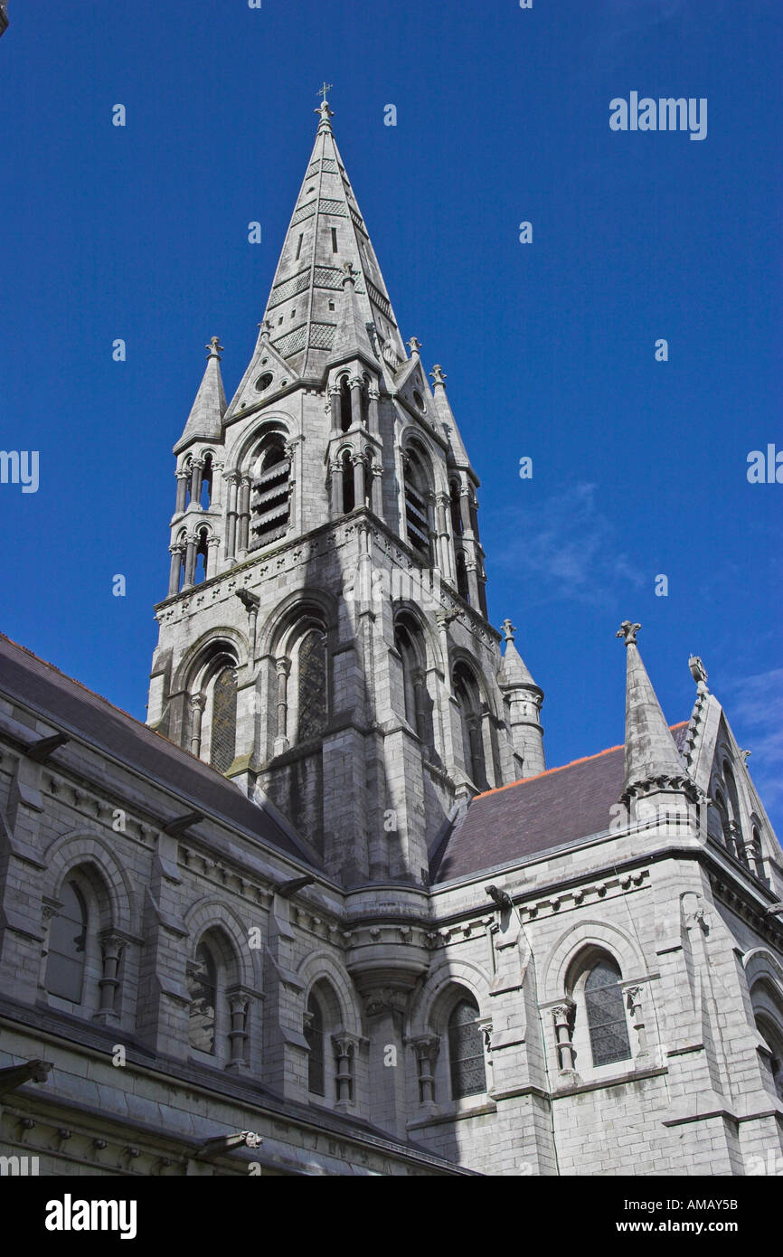 La Catedral de Saint Fin Barre Cork Ireland Foto de stock