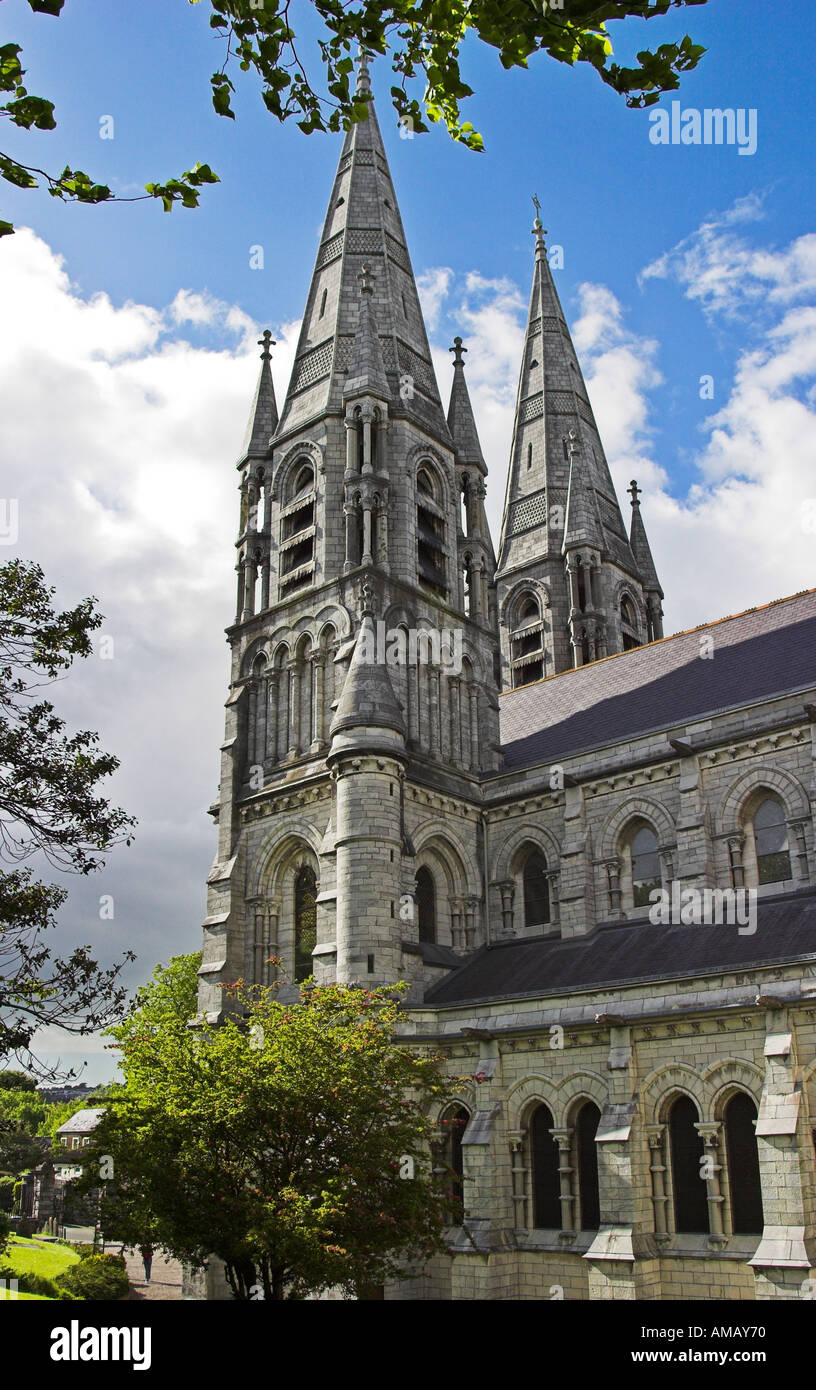 La Catedral de Saint Fin Barre Cork Ireland Foto de stock