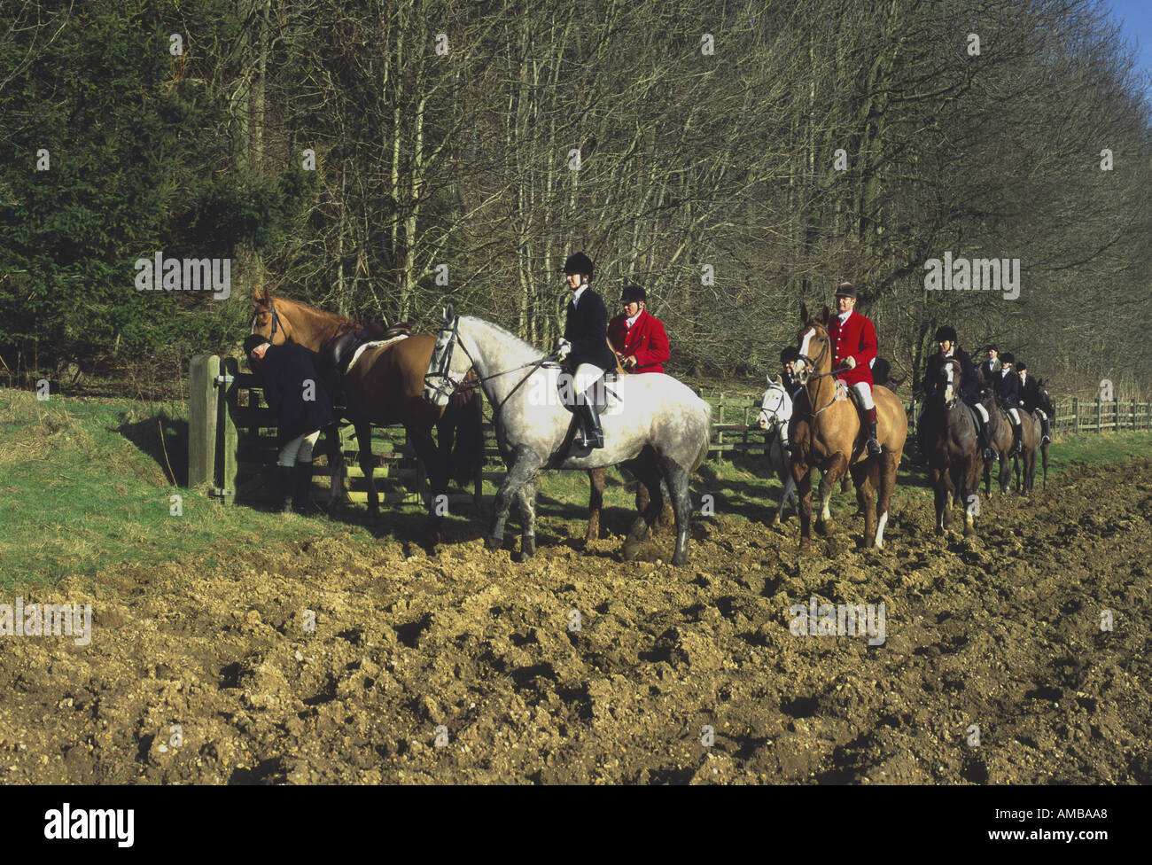 Con el sur de Lincolnshire Wold hunt Foto de stock