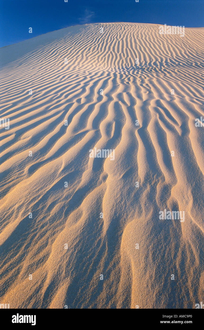 Las dunas de arena, el parque nacional de Nambung, en Australia Occidental, Australia Foto de stock