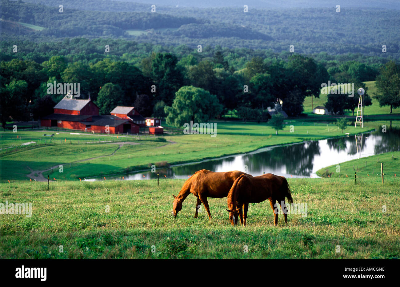 New jersey horse farm fotografías e imágenes de alta resolución Alamy