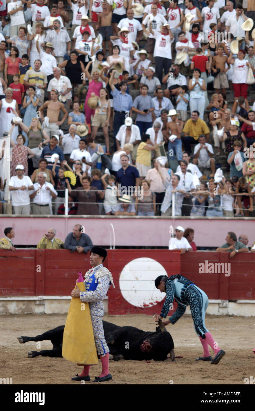 La eliminación de un toro después de una corrida de toros en España. Foto de stock