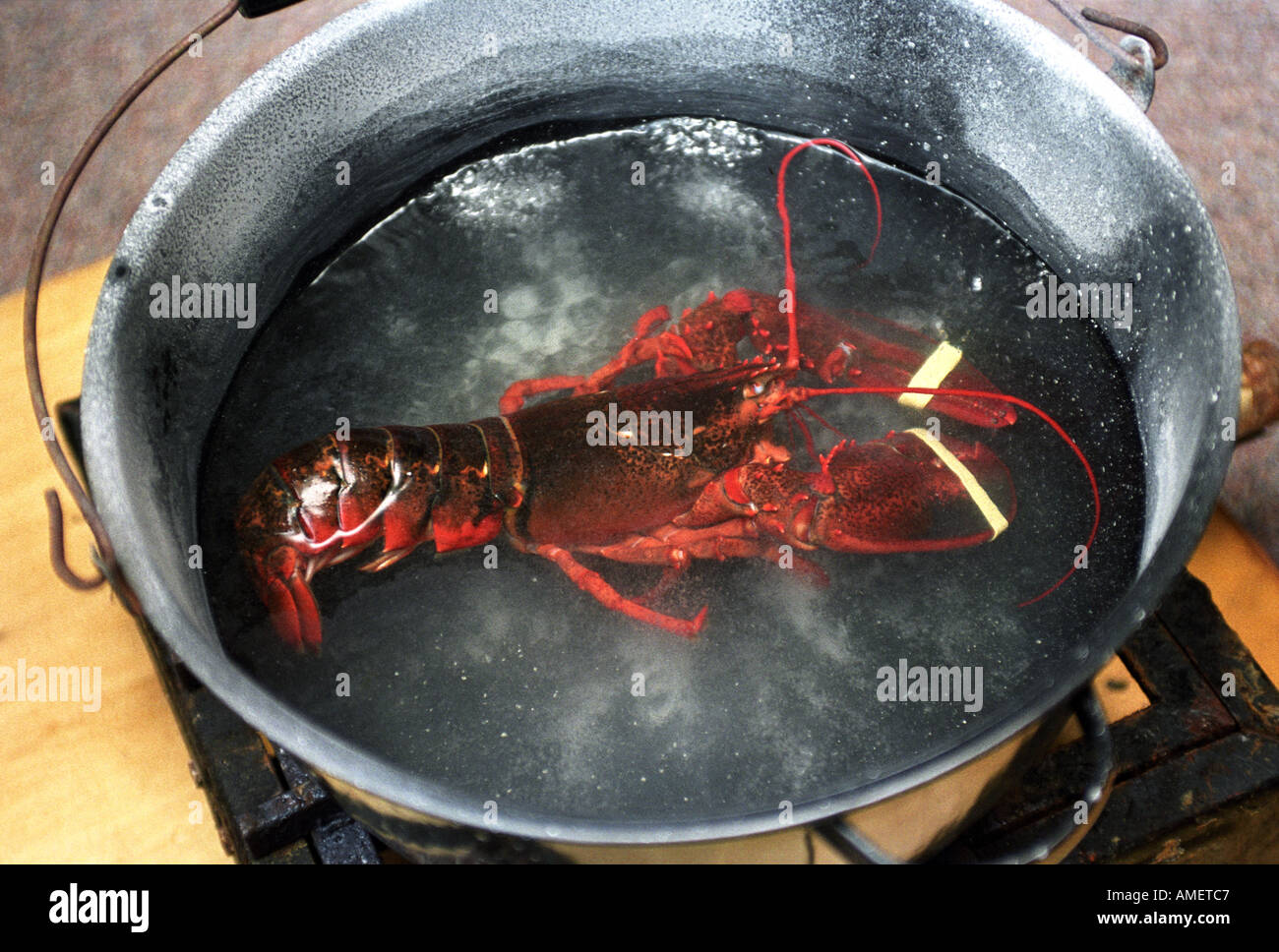 Bogavante hirviendo en agua