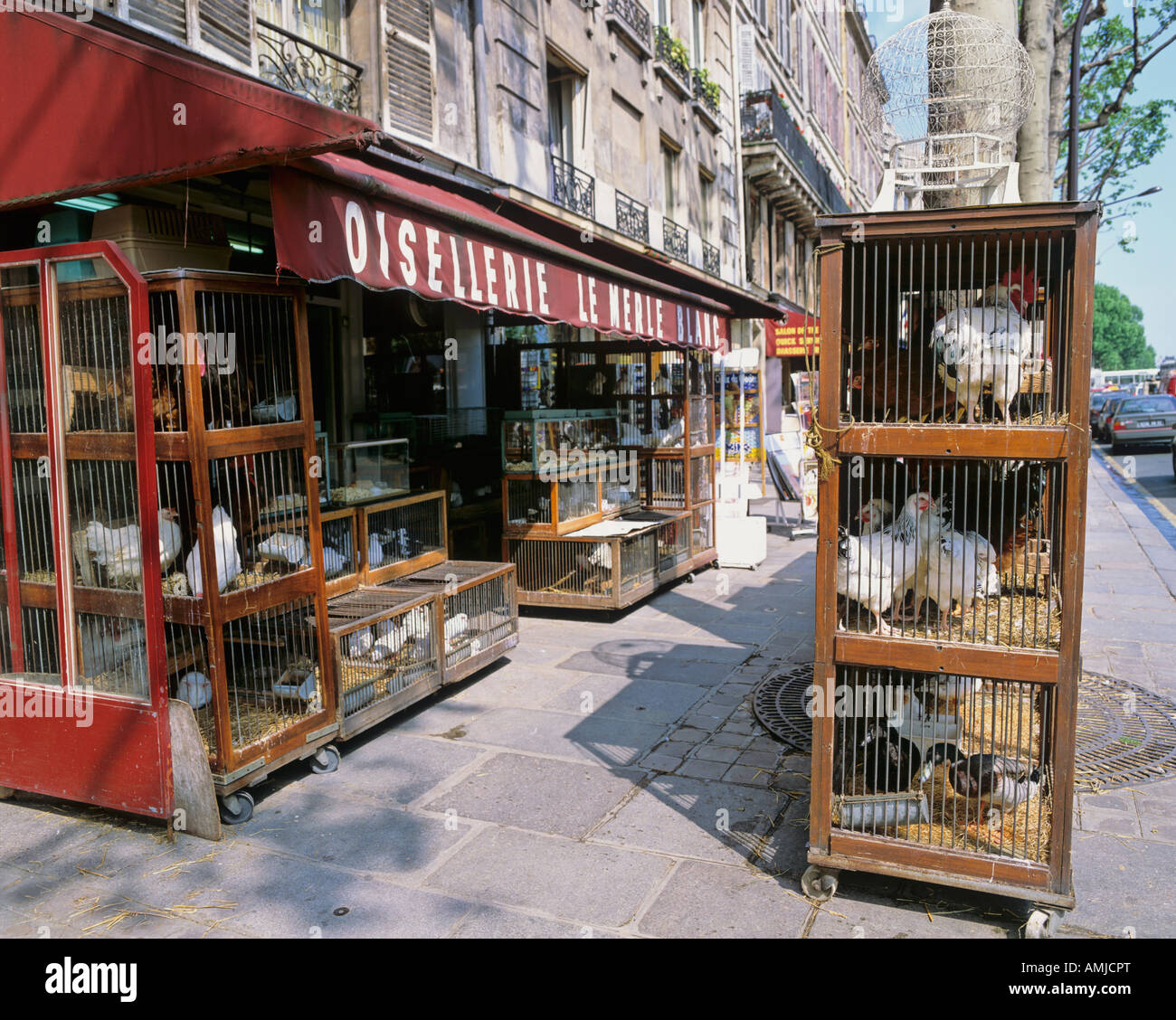 Tienda de Mascotas París Francia Fotografía de stock - Alamy