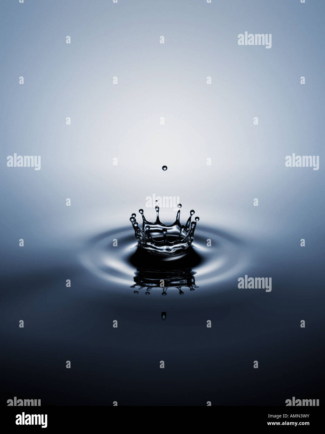 Un rizo de agua en la forma de corona Foto de stock