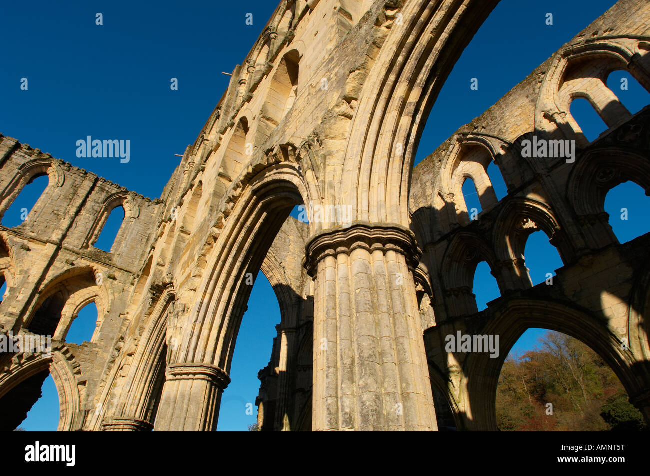 Pasillo principal con arcos y ventanas góticas, Rievaulx Abbey, el Parque Nacional de North Yorkshire, Inglaterra Foto de stock