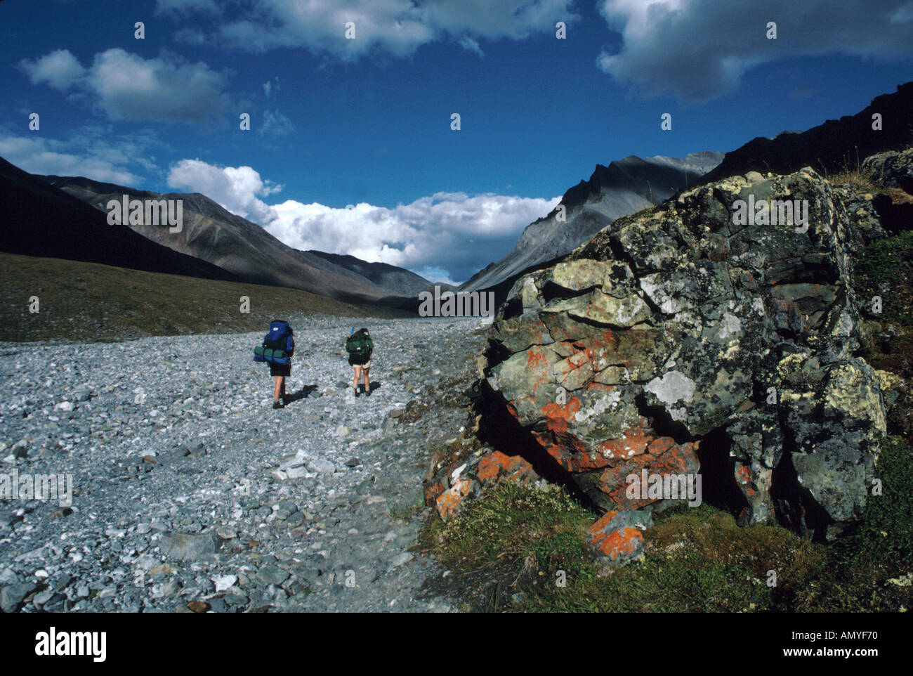 Senderismo en Romanzof Mts cerca de la Divisoria Continental ANWR AK Foto de stock