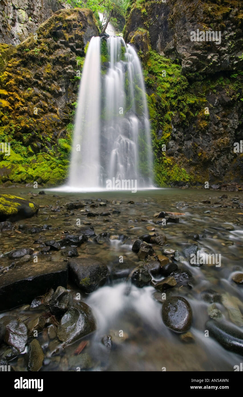 Fall Creek Falls Foto de stock