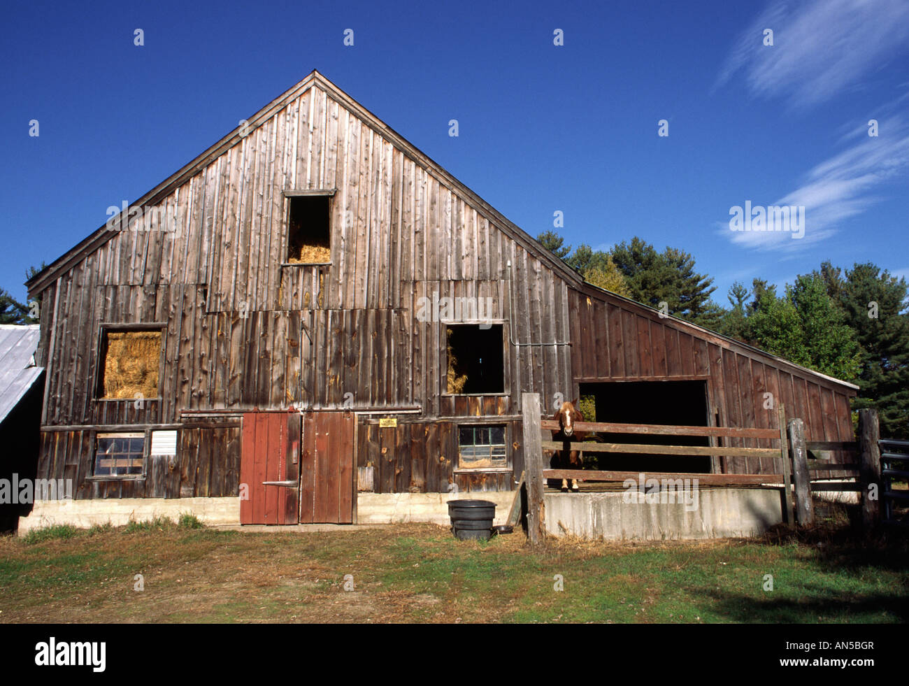 Madera de caballo fotografías e imágenes de alta resolución Alamy