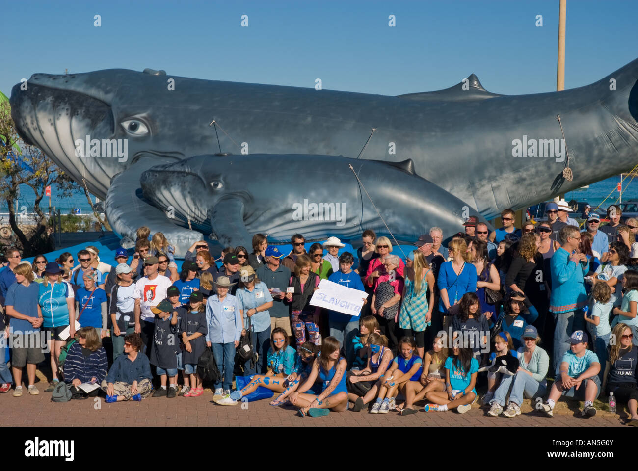 Protesta contra la caza de ballenas Foto de stock