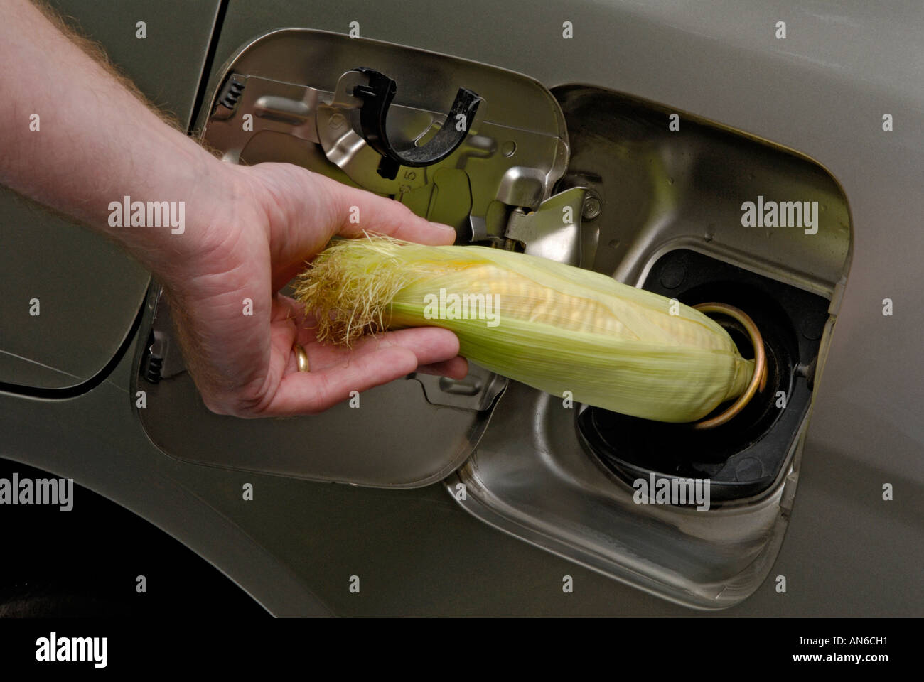 Biocombustible combustible bio: persona poner maíz en el tanque de gas del coche. Etanol conceptual flex fuel Foto de stock