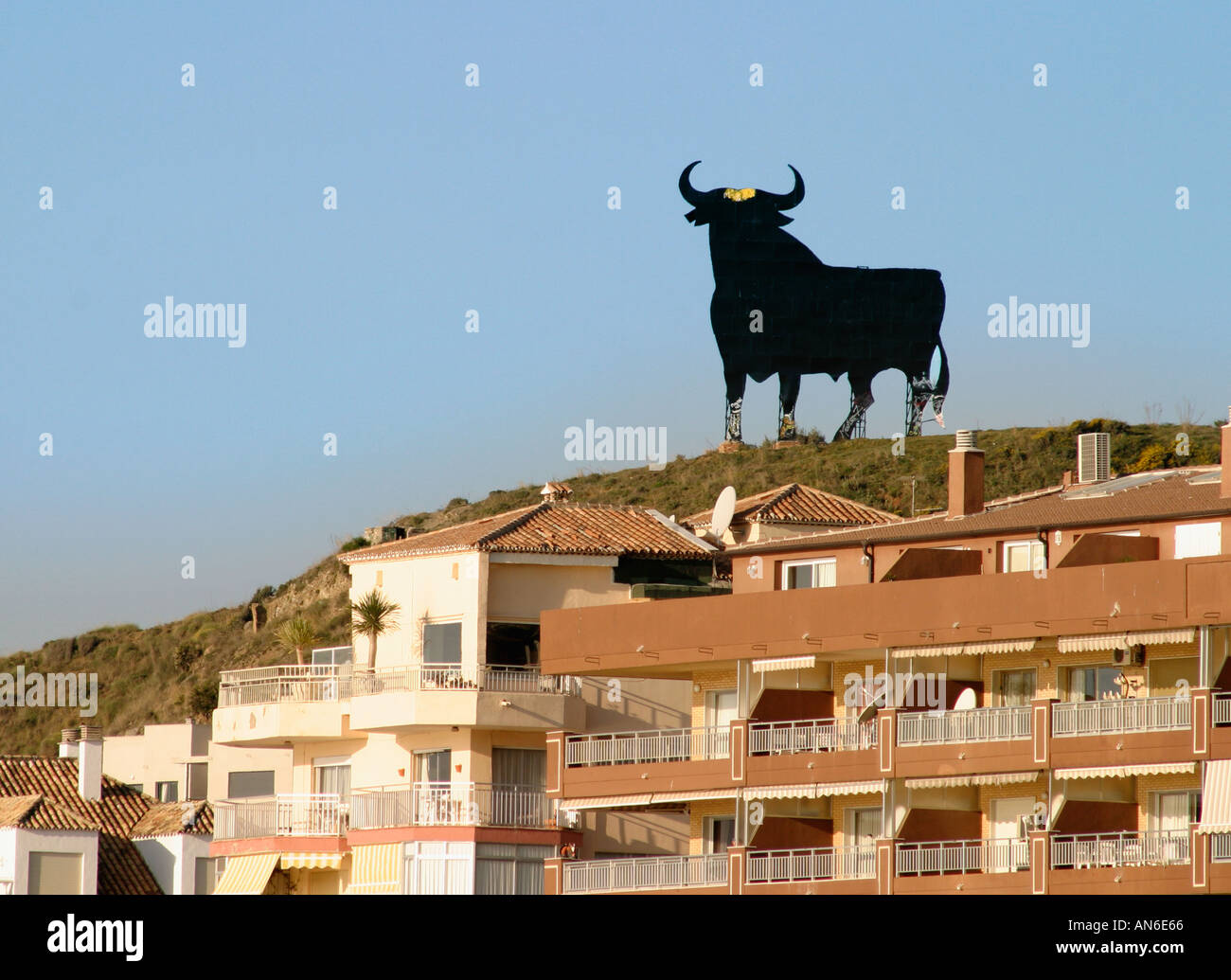 Image result for toro costa del sol