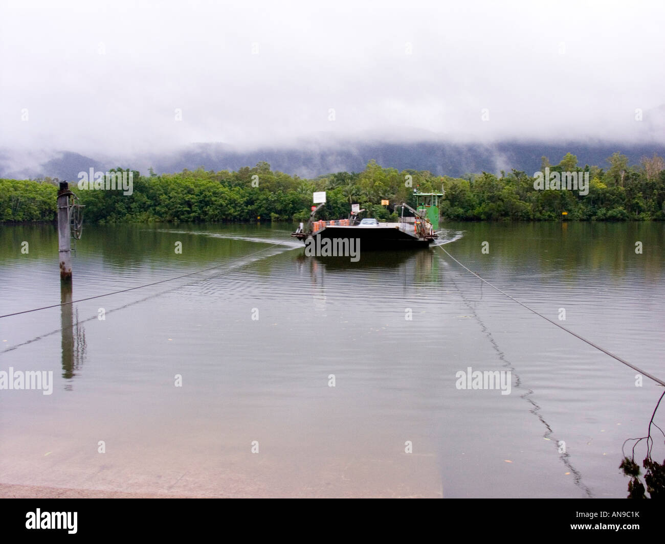 Ferry, el Daintree River, la selva tropical de Daintree, Queensland, Australia Foto de stock